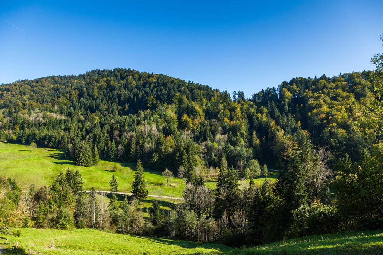 Hotel Bad Rain Mit Oberstaufen Plusgolf 외부 사진